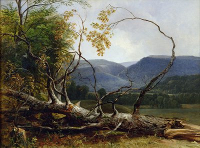 Study from Nature, Stratton Notch, Vermont, 1853 by Asher Brown Durand